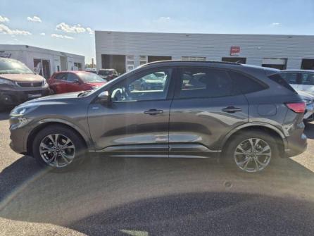FORD Kuga 2.5 Duratec 190ch FHEV E85 ST-Line BVA à vendre à Montargis - Image n°8